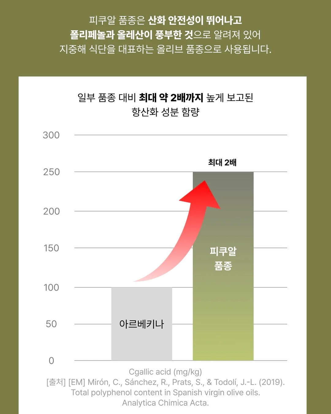 맨투맨 블라우스 9