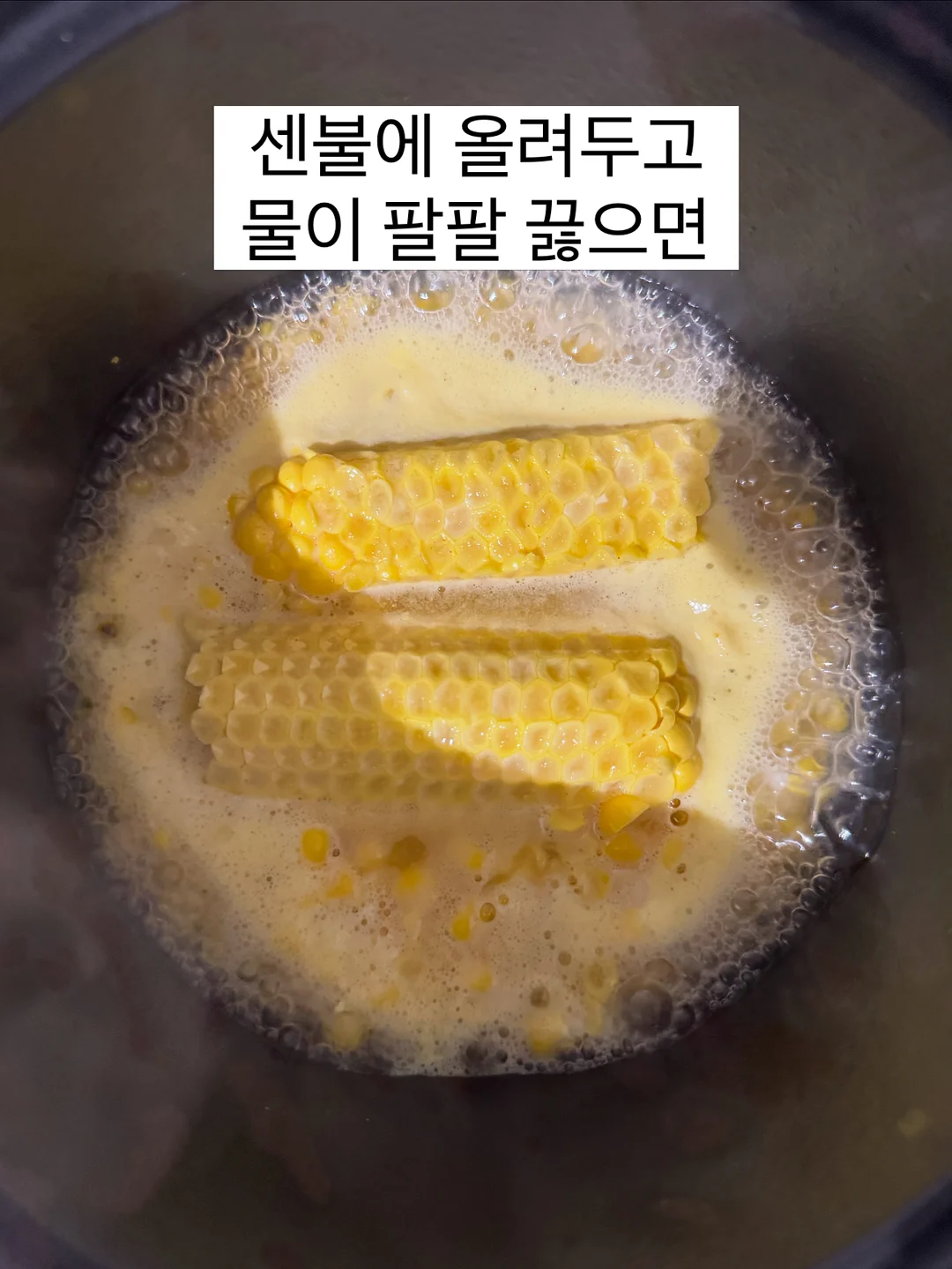 물병 스트랩 6