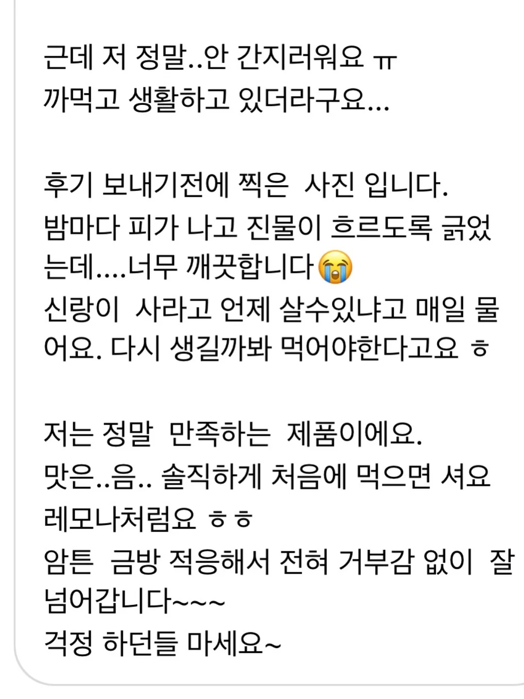 아비꼬 불닭카레 5