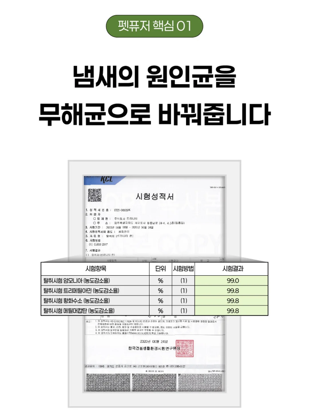 라떼베개 13