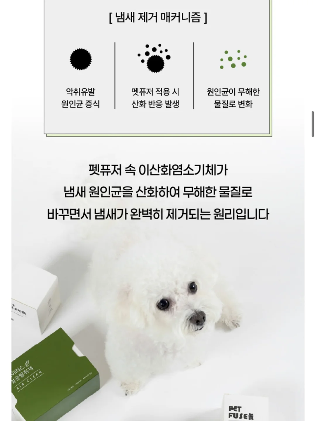 라떼베개 8