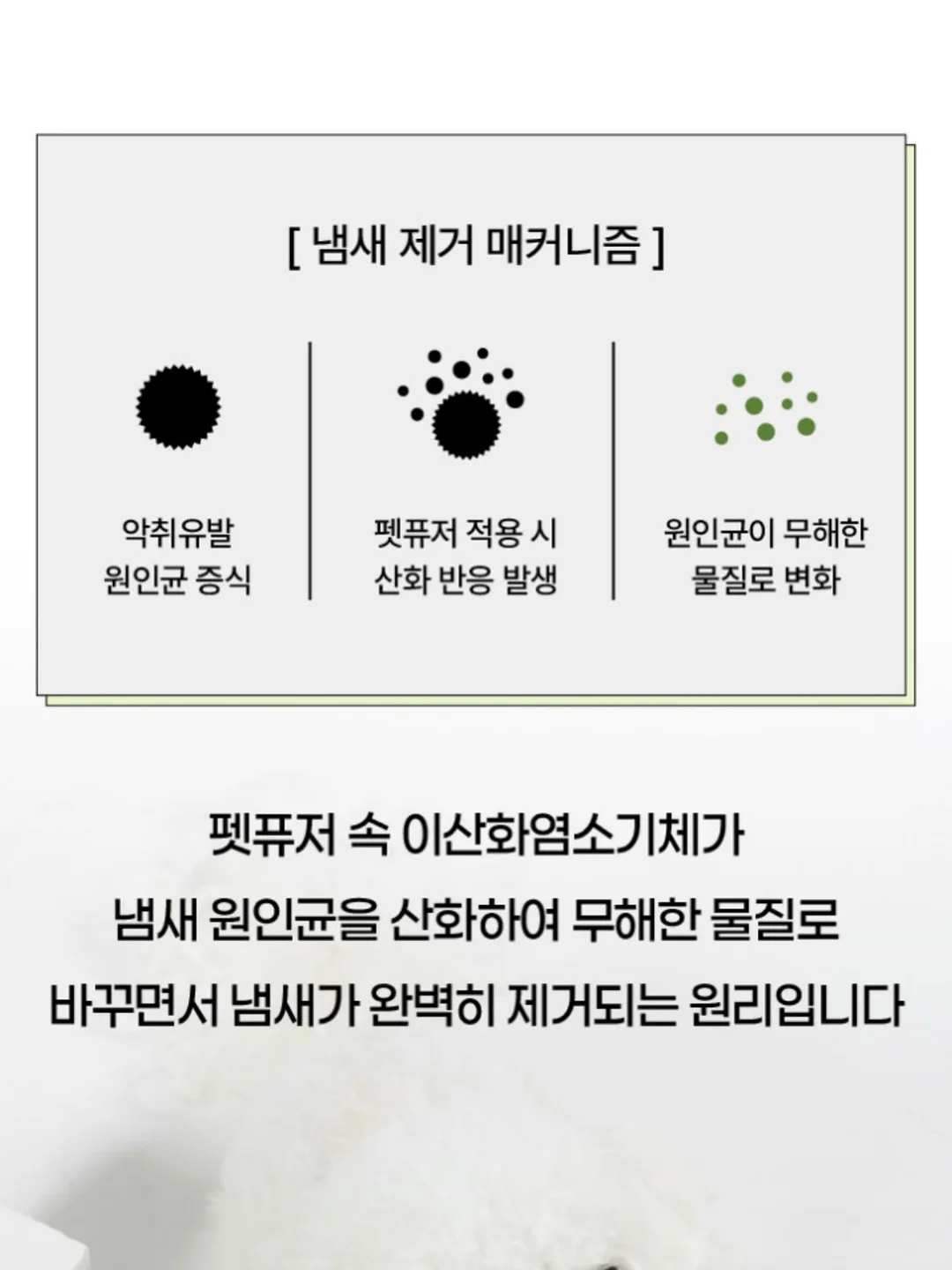 라떼베개 10