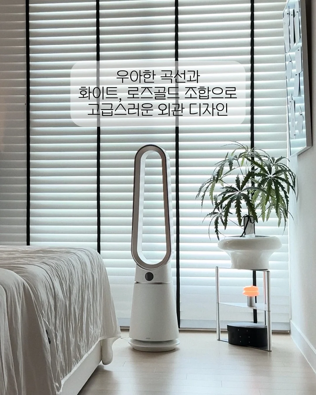 마들렌 2