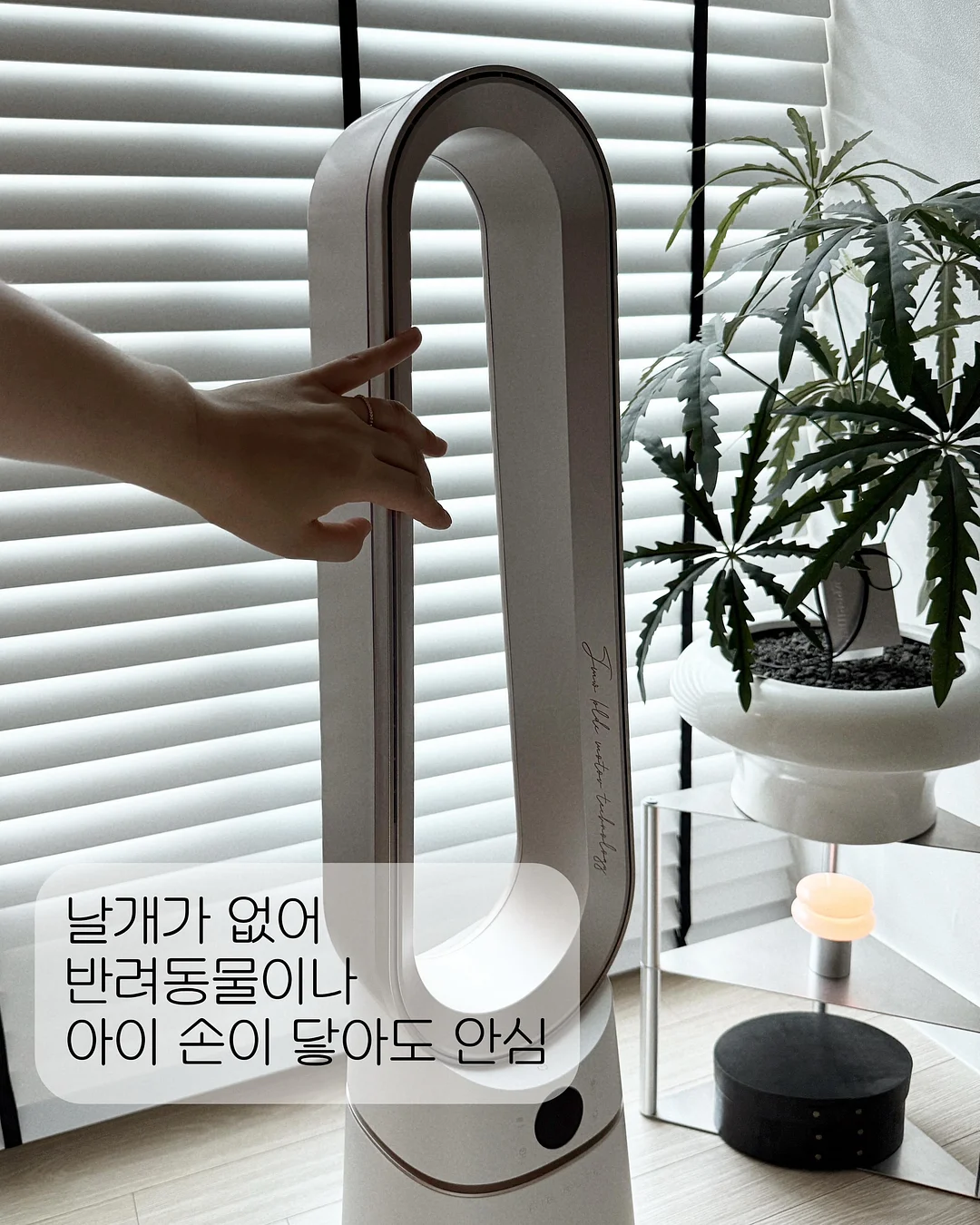 마들렌 4