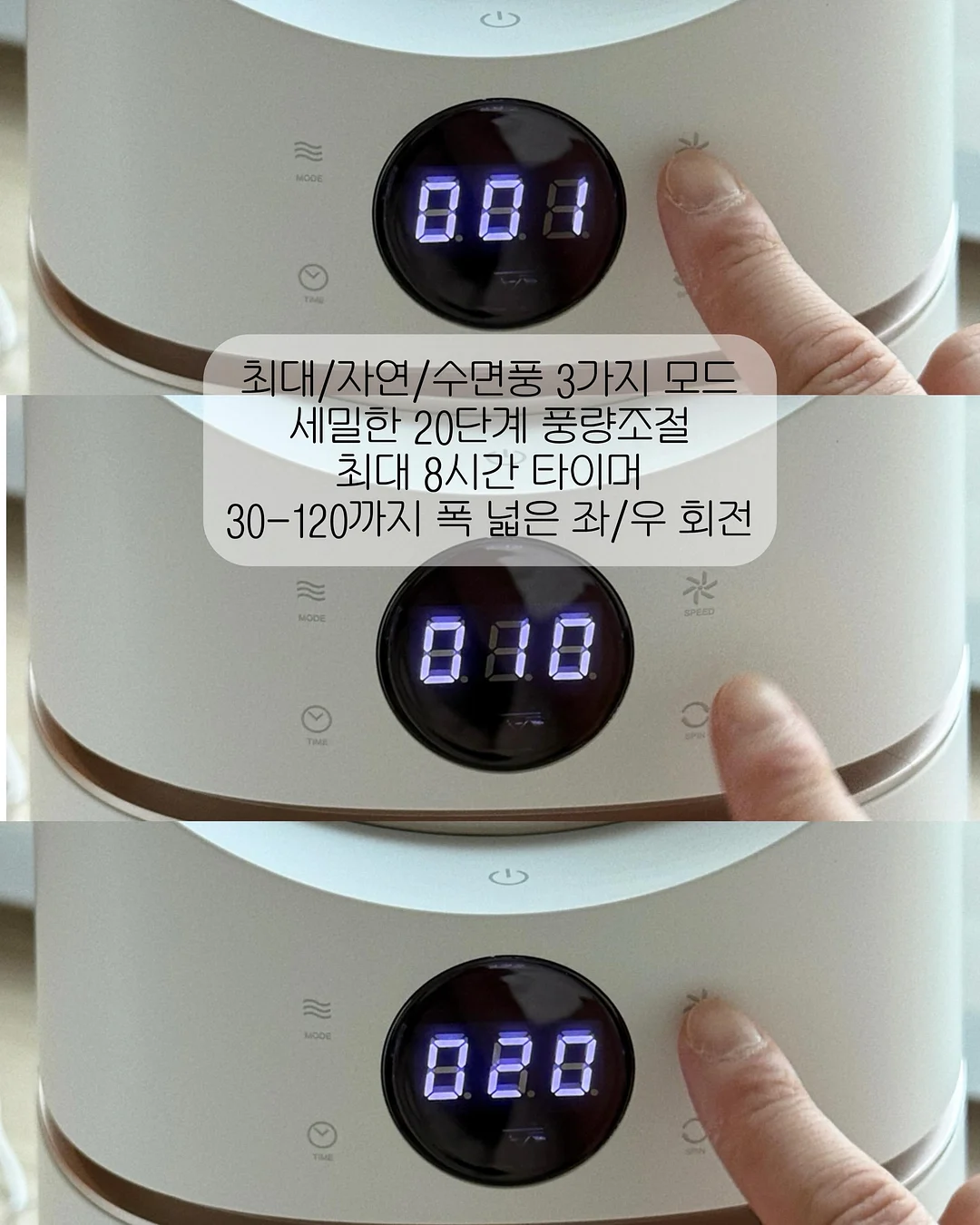 마들렌 6