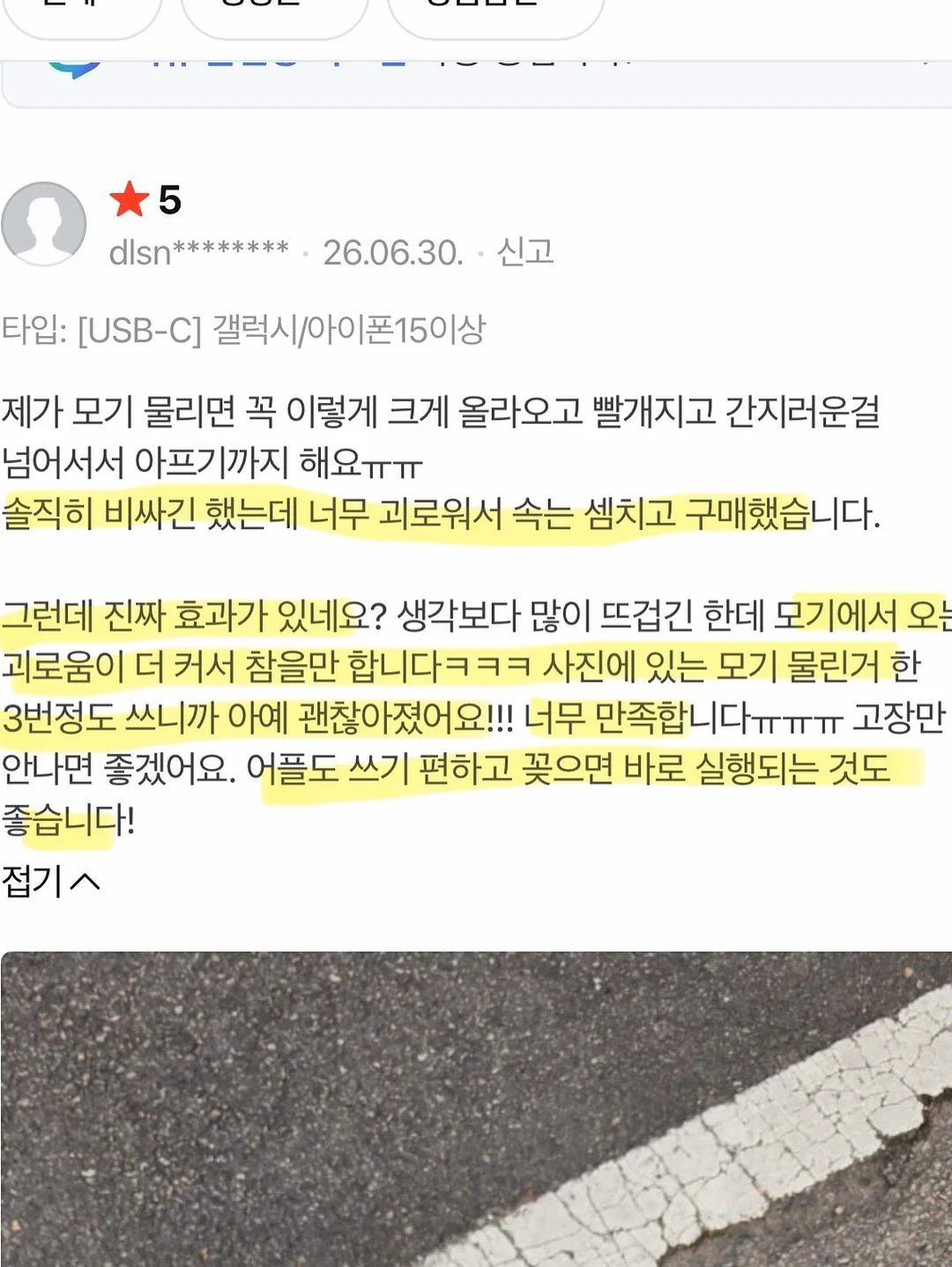 제주 보라양배추 11