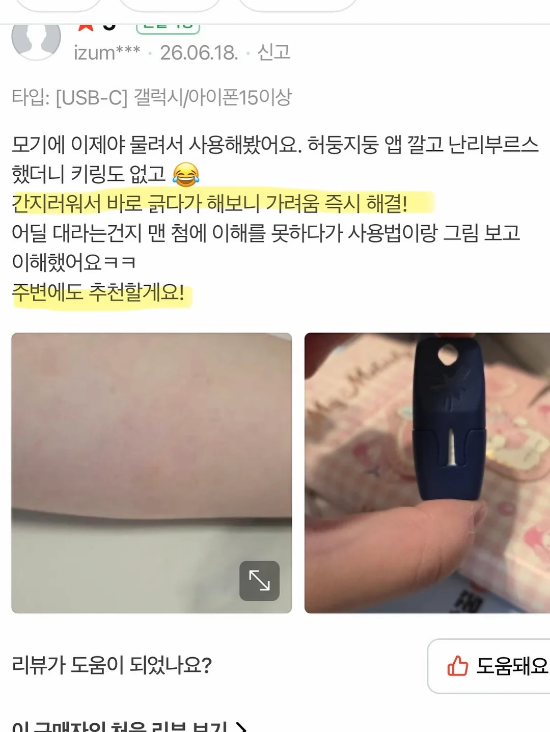제주 보라양배추 12