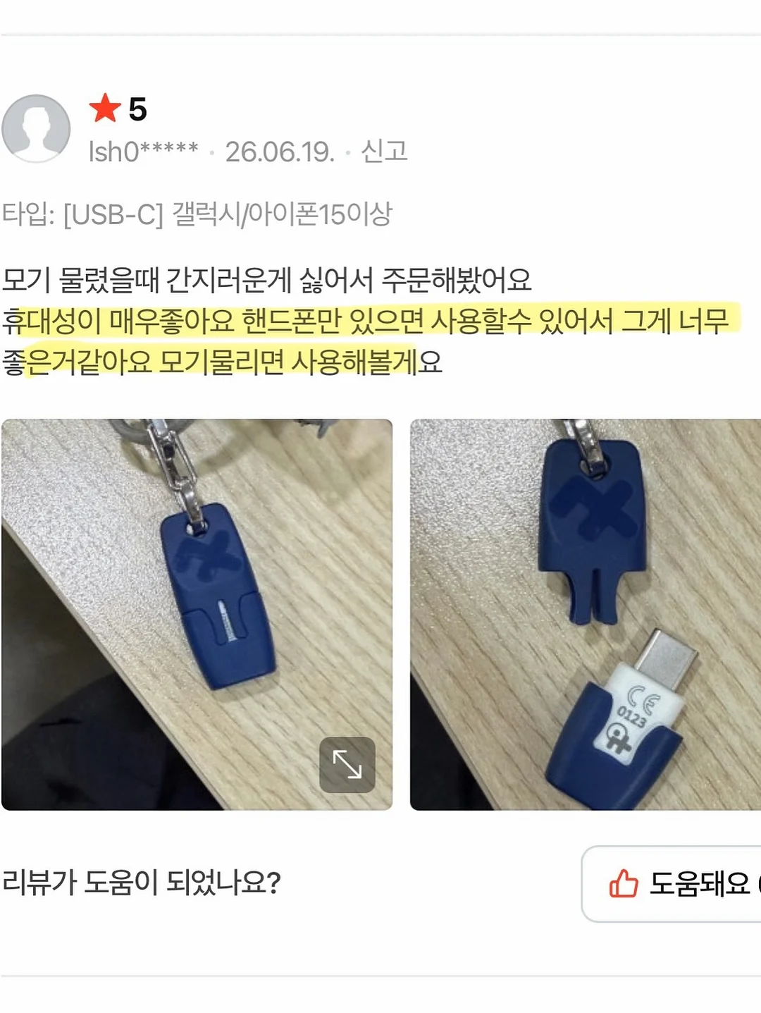 제주 보라양배추 13