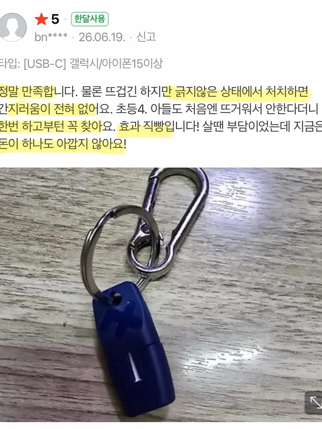 제주 보라양배추 15