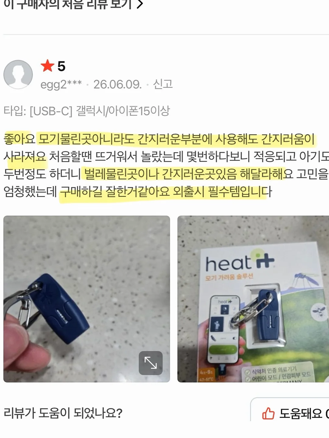 제주 보라양배추 16