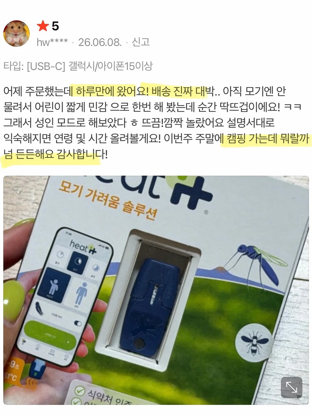 제주 보라양배추 18