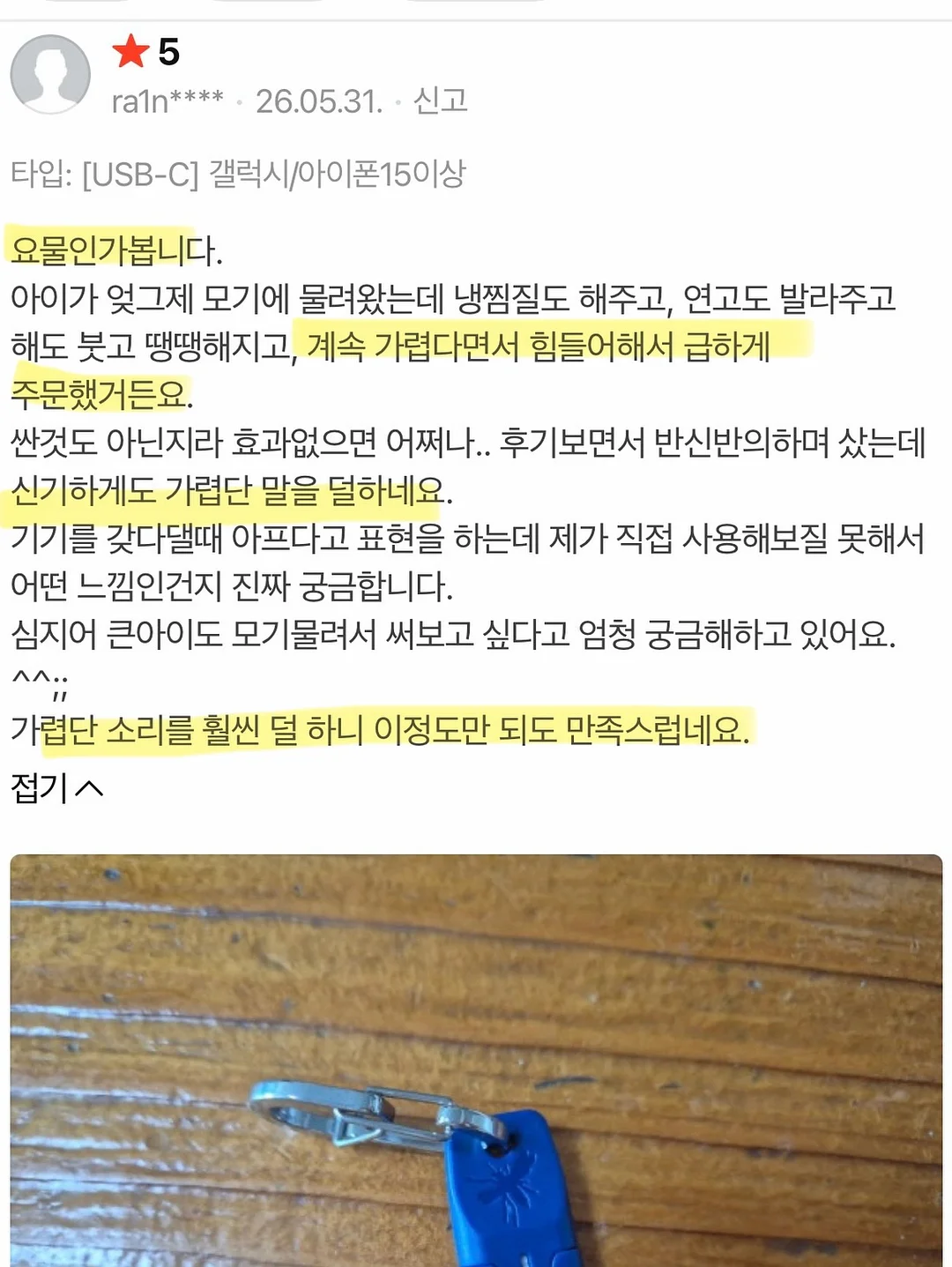 제주 보라양배추 19