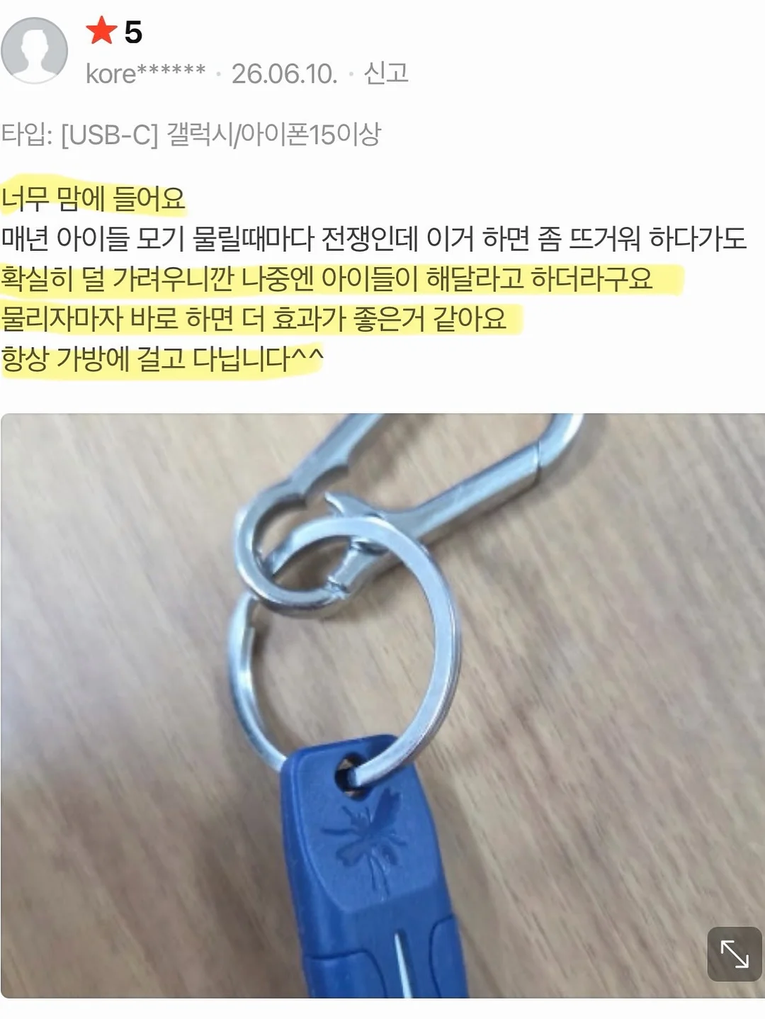 제주 보라양배추 2