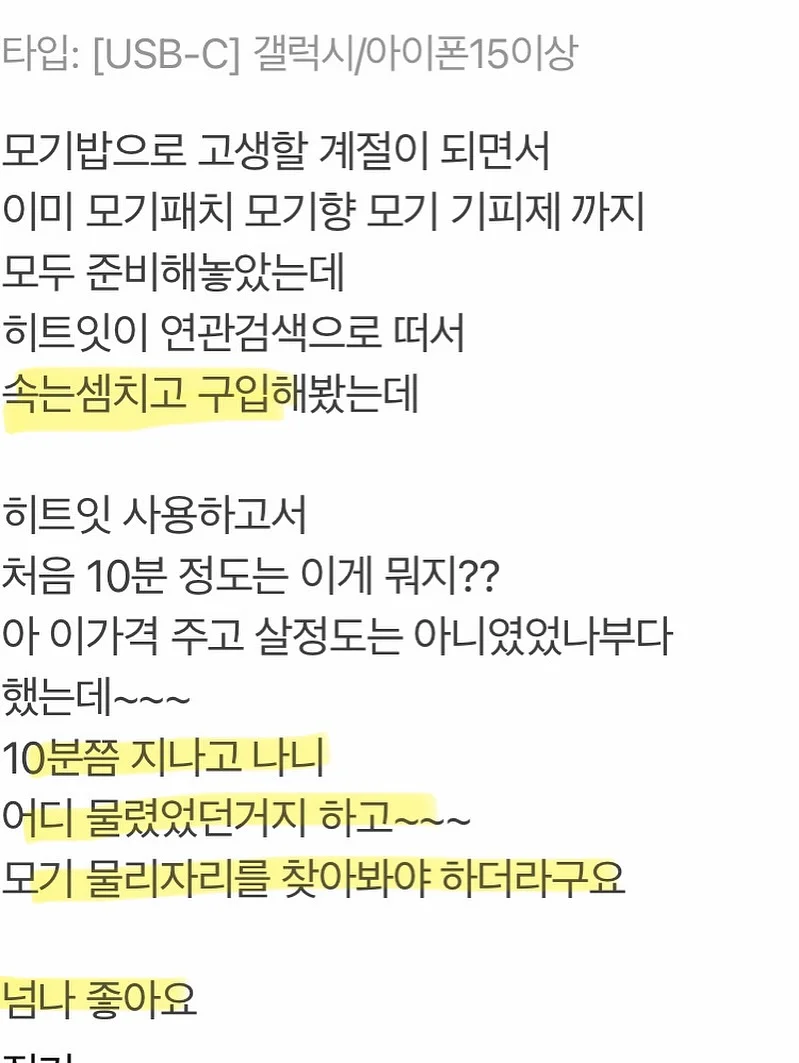 제주 보라양배추 4