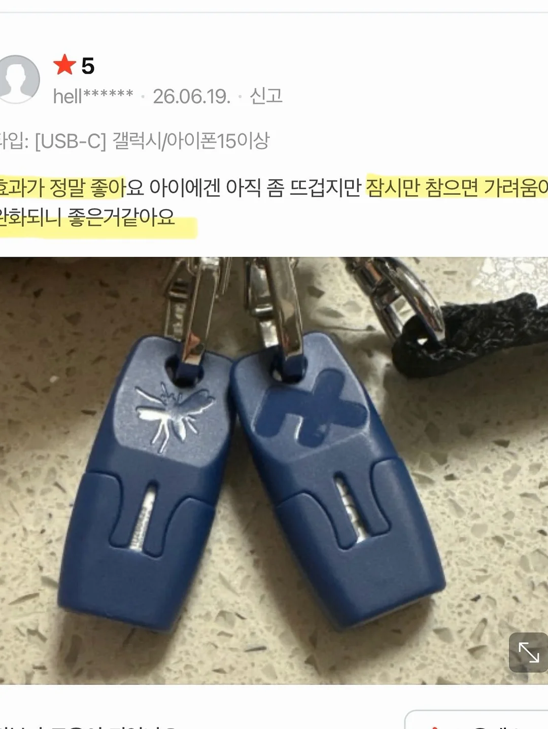 제주 보라양배추 5
