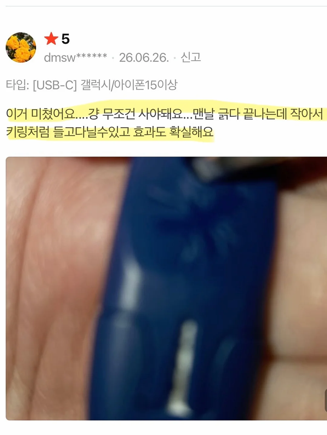 제주 보라양배추 6