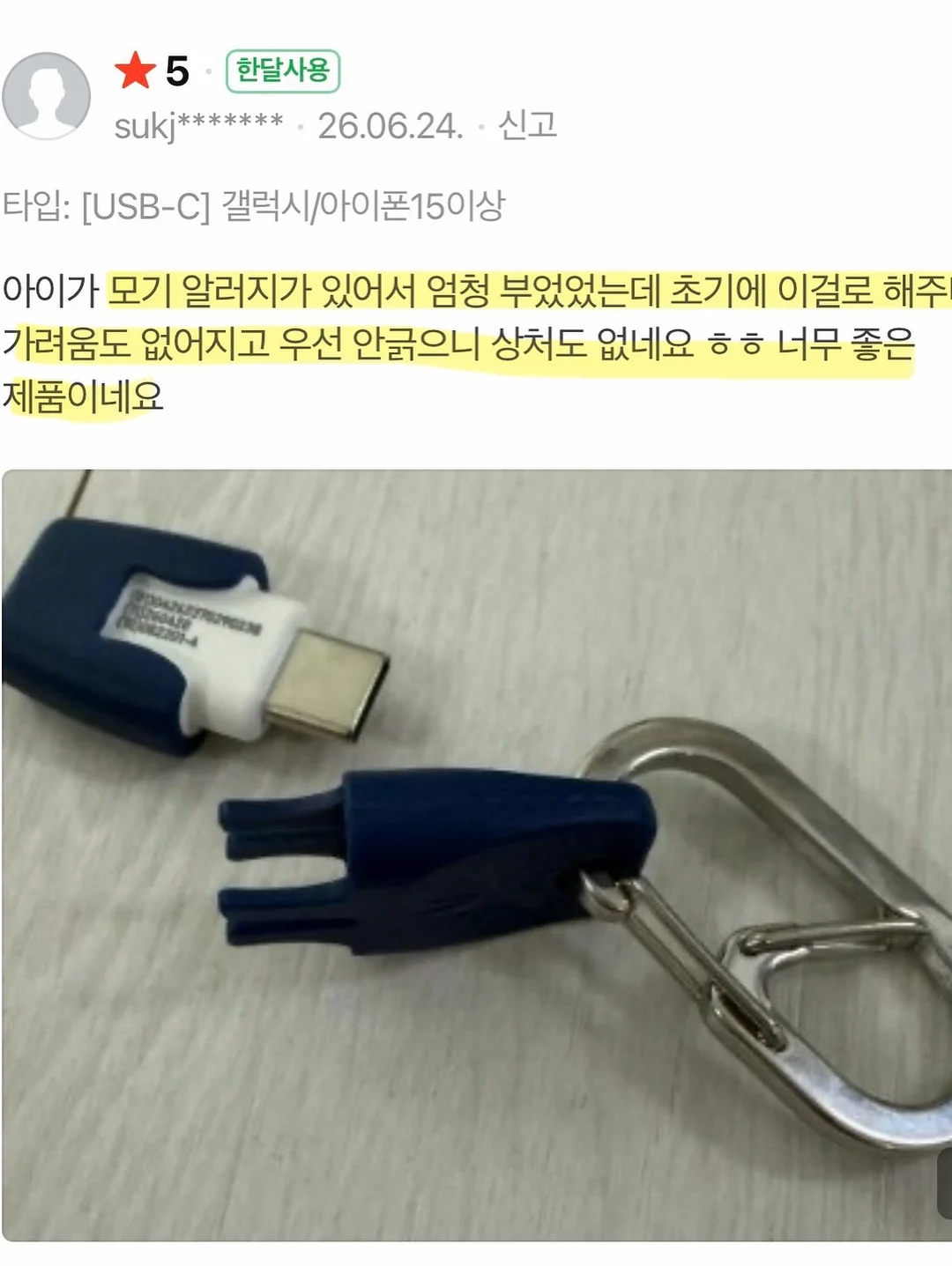 제주 보라양배추 9
