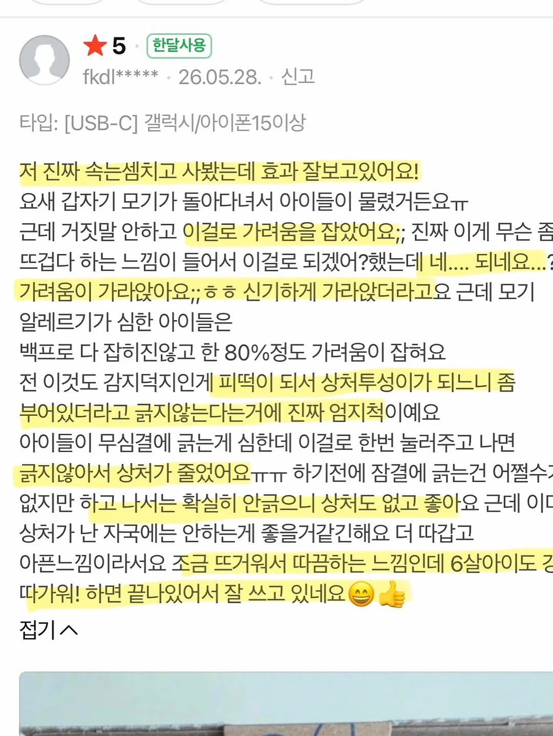 제주 보라양배추 10