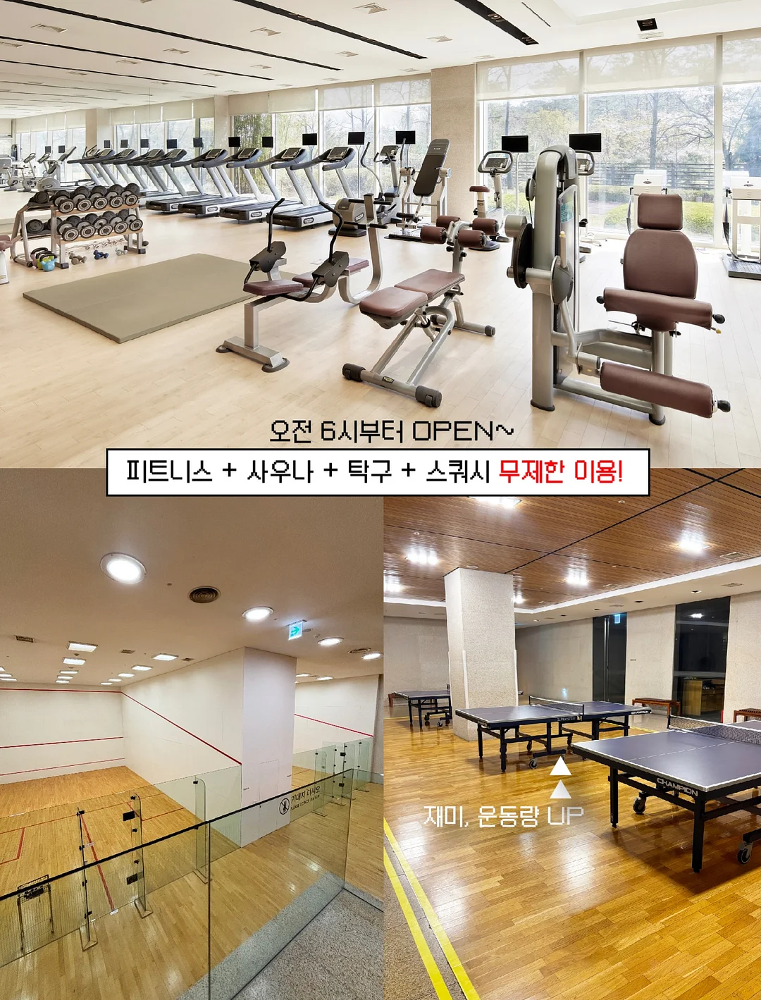무타공 스텐 후크 3종 7