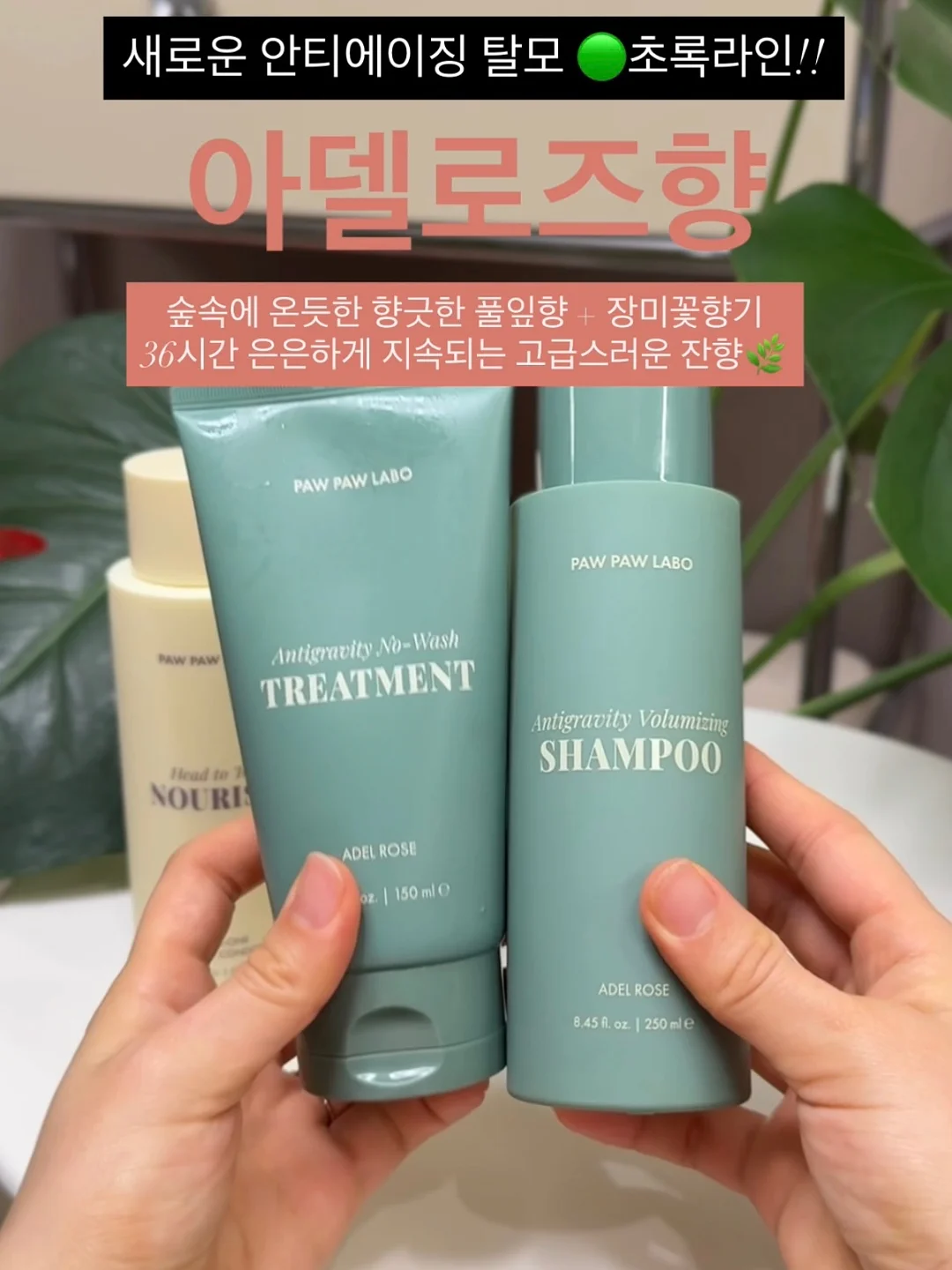 러브프릴 래쉬가드 + 비치가운 5