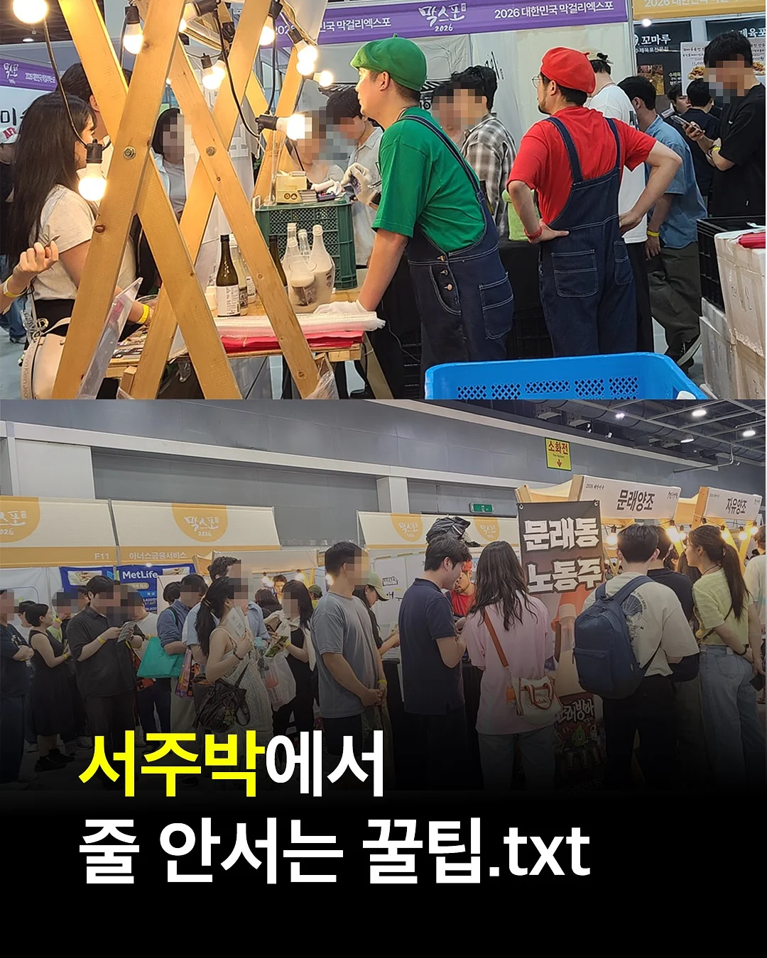 시트롱 머랭 타르트, 피크닉파이5종, 쿠키산도3종 1