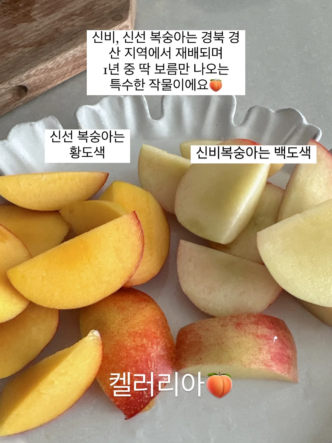 nineminus2 투웨이 우븐 바람막이 자켓 8