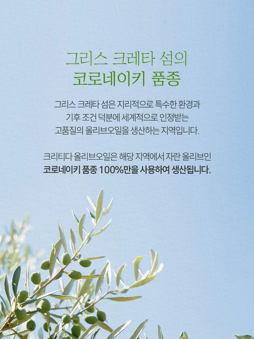 커피 크림라떼 비밀 재료 3