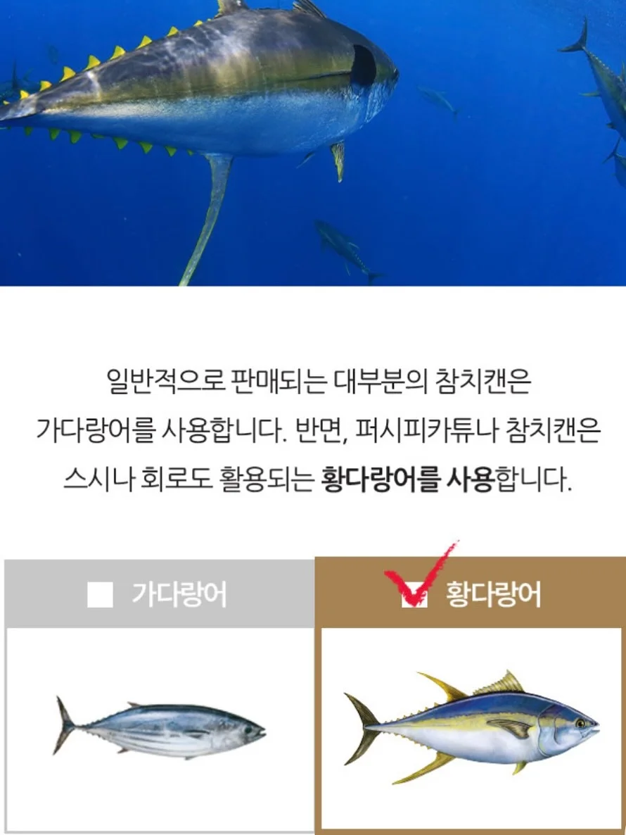 달토리 외출룩 상하세트 5