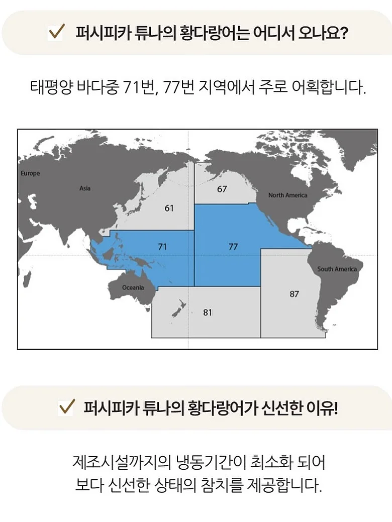 달토리 외출룩 상하세트 6