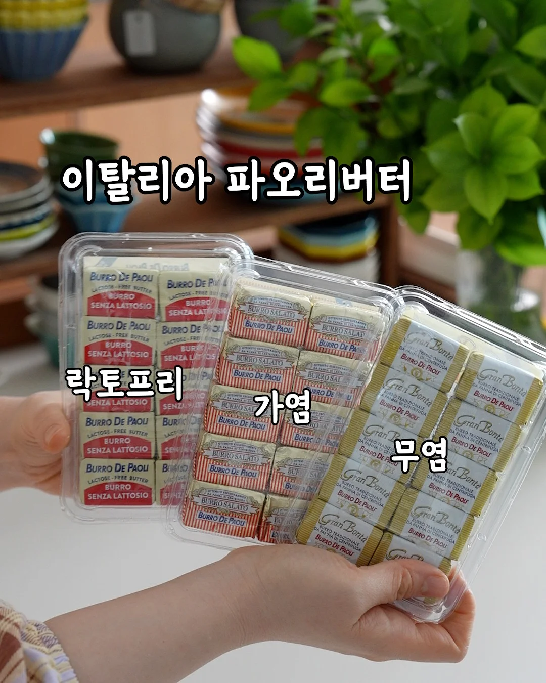 무지개망고/골드망고 4