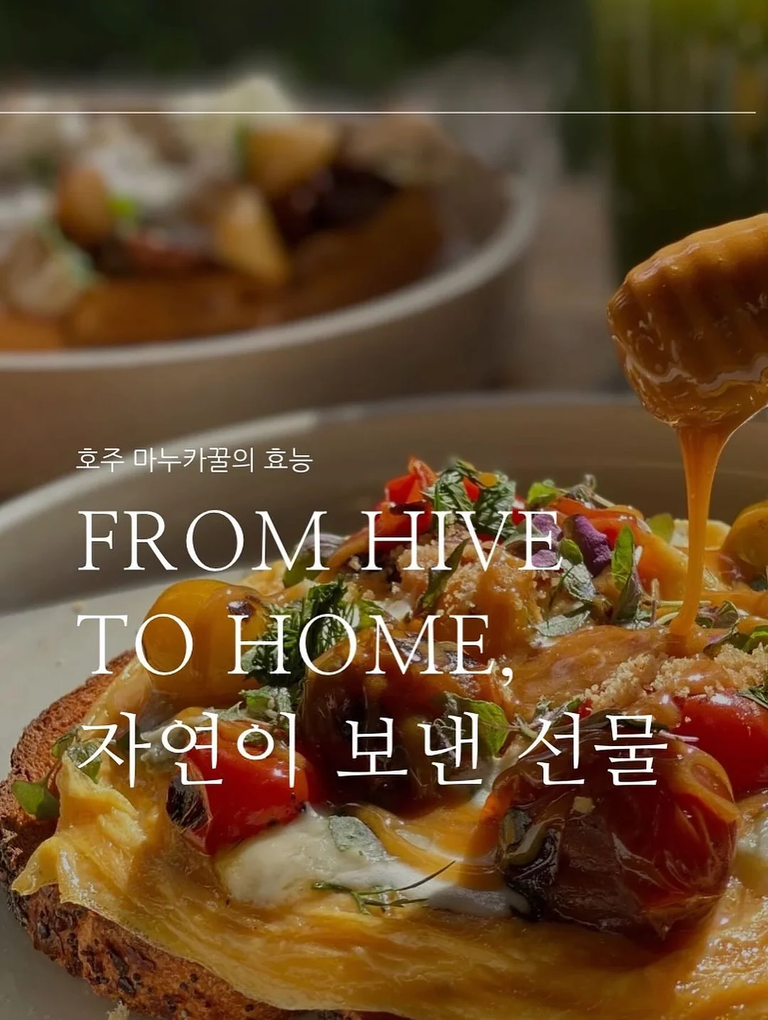 두두스토리 영재의 책장 50권 1