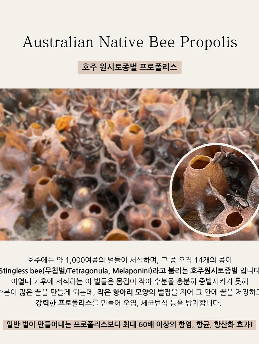 두두스토리 영재의 책장 50권 12