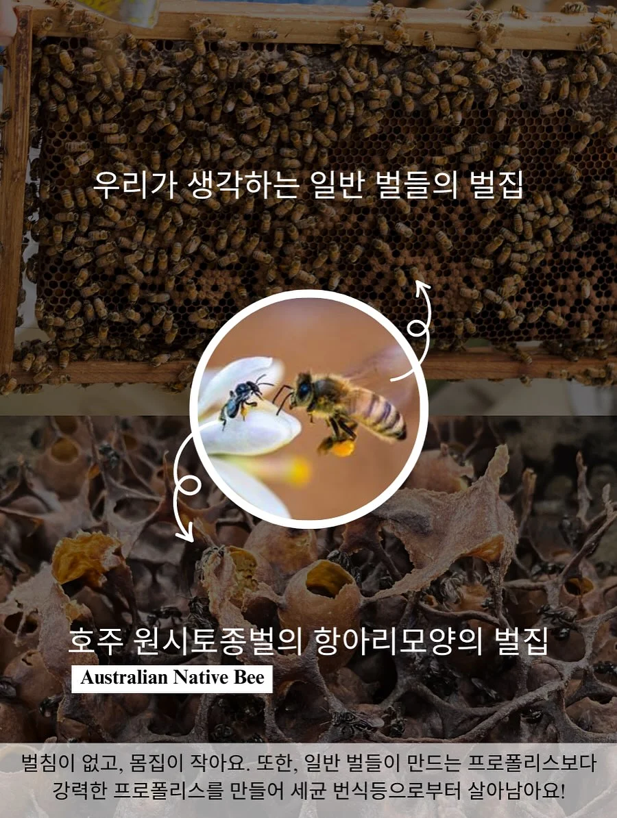 두두스토리 영재의 책장 50권 6