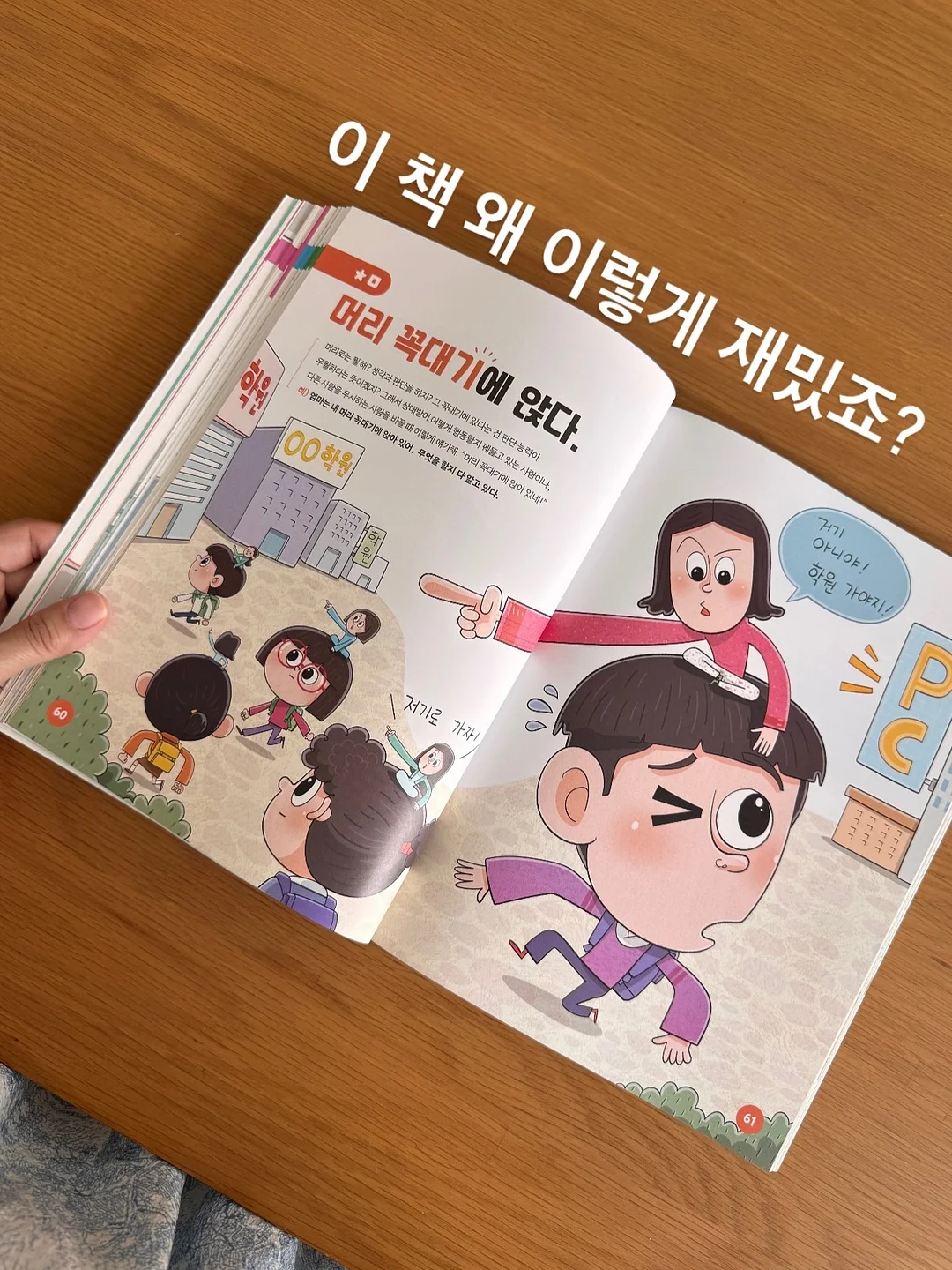 고구마 1