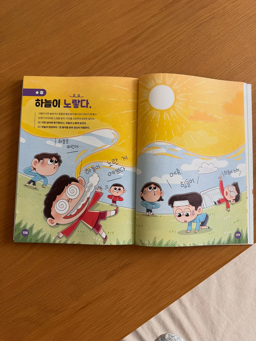고구마 7
