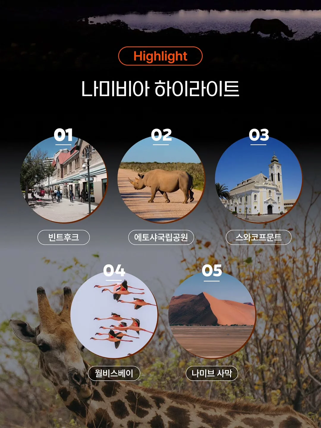 쏭캡나시 3