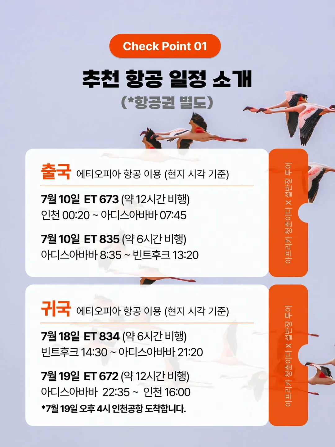 쏭캡나시 8