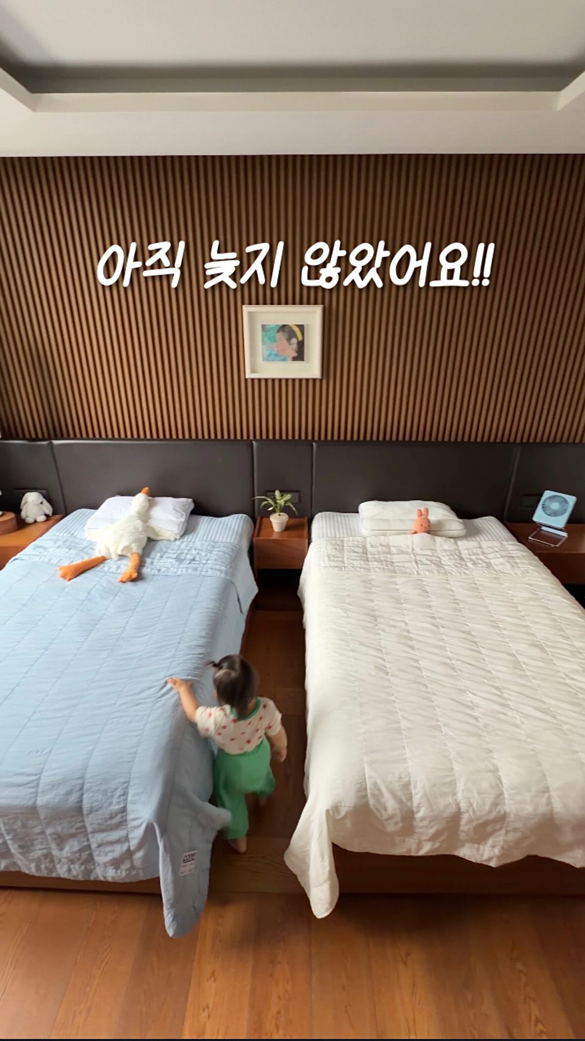 강아지 쿨링 나시