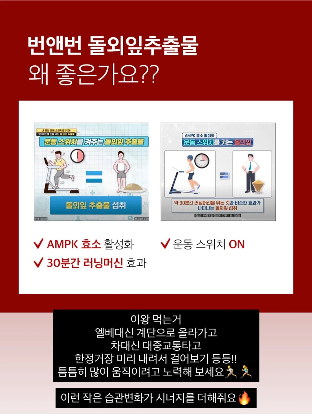 베이비 단가라티 11