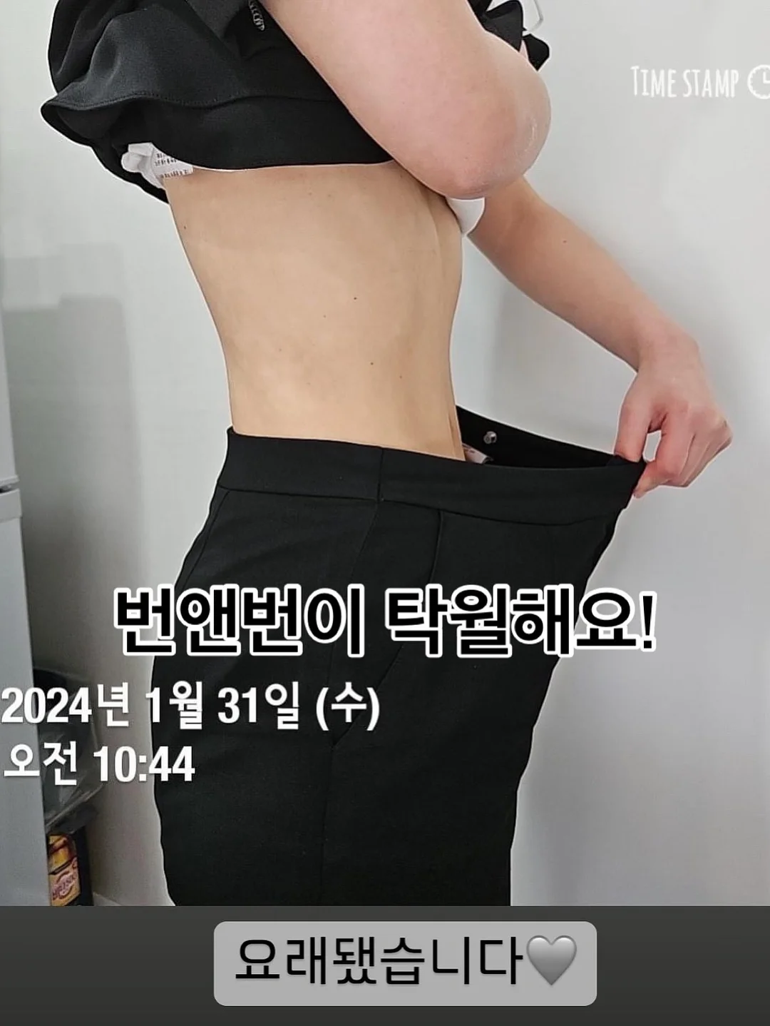 베이비 단가라티 8