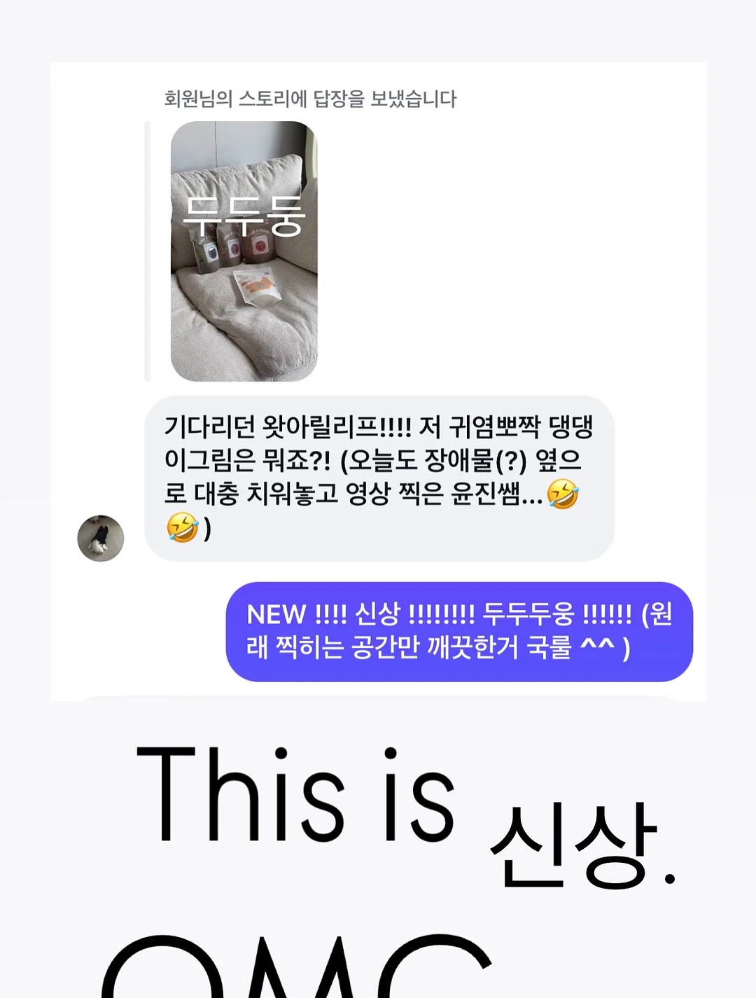 문해력 진단 체크리스트 5