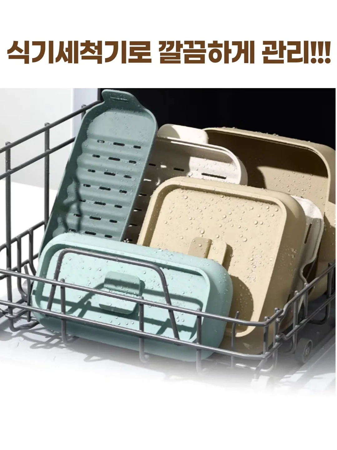 오벤트 레모니카노 12