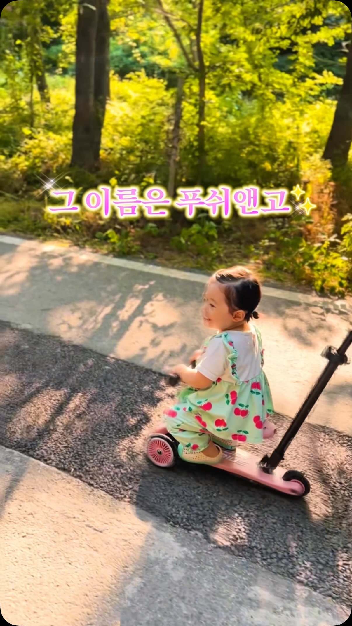 보미오라 다이어트환