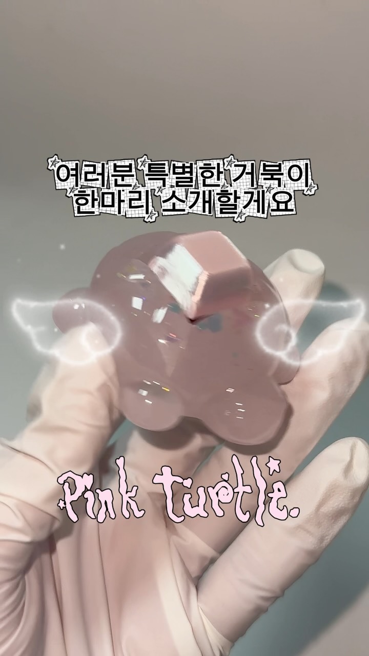 여권 크로스백