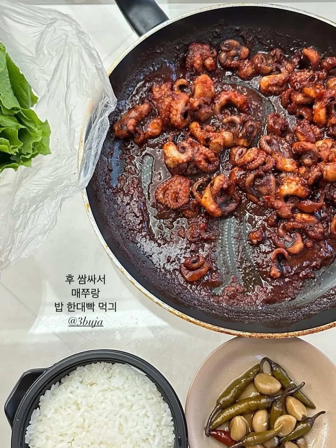 대왕실핀 8
