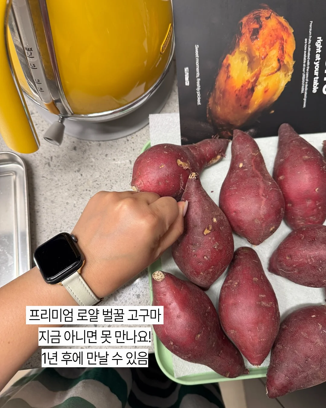 실리스카 시카트리스 오이먼트 크림 9