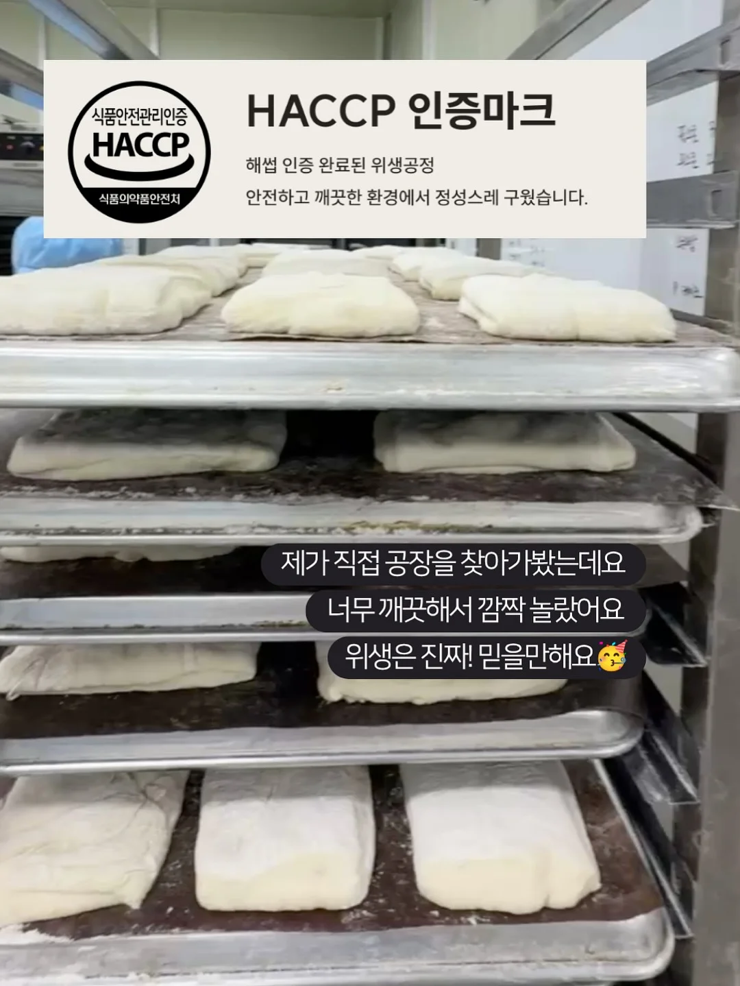 딘토 꽃물치크 17