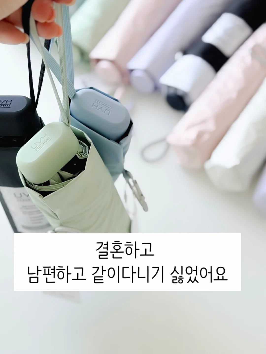 고양이 방석 1