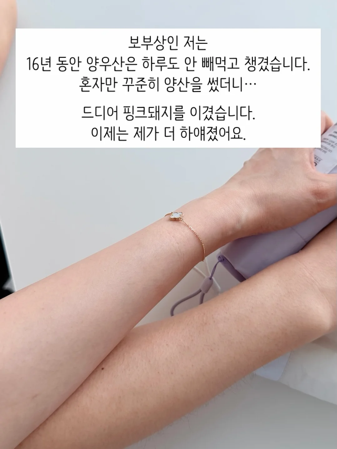 고양이 방석 3