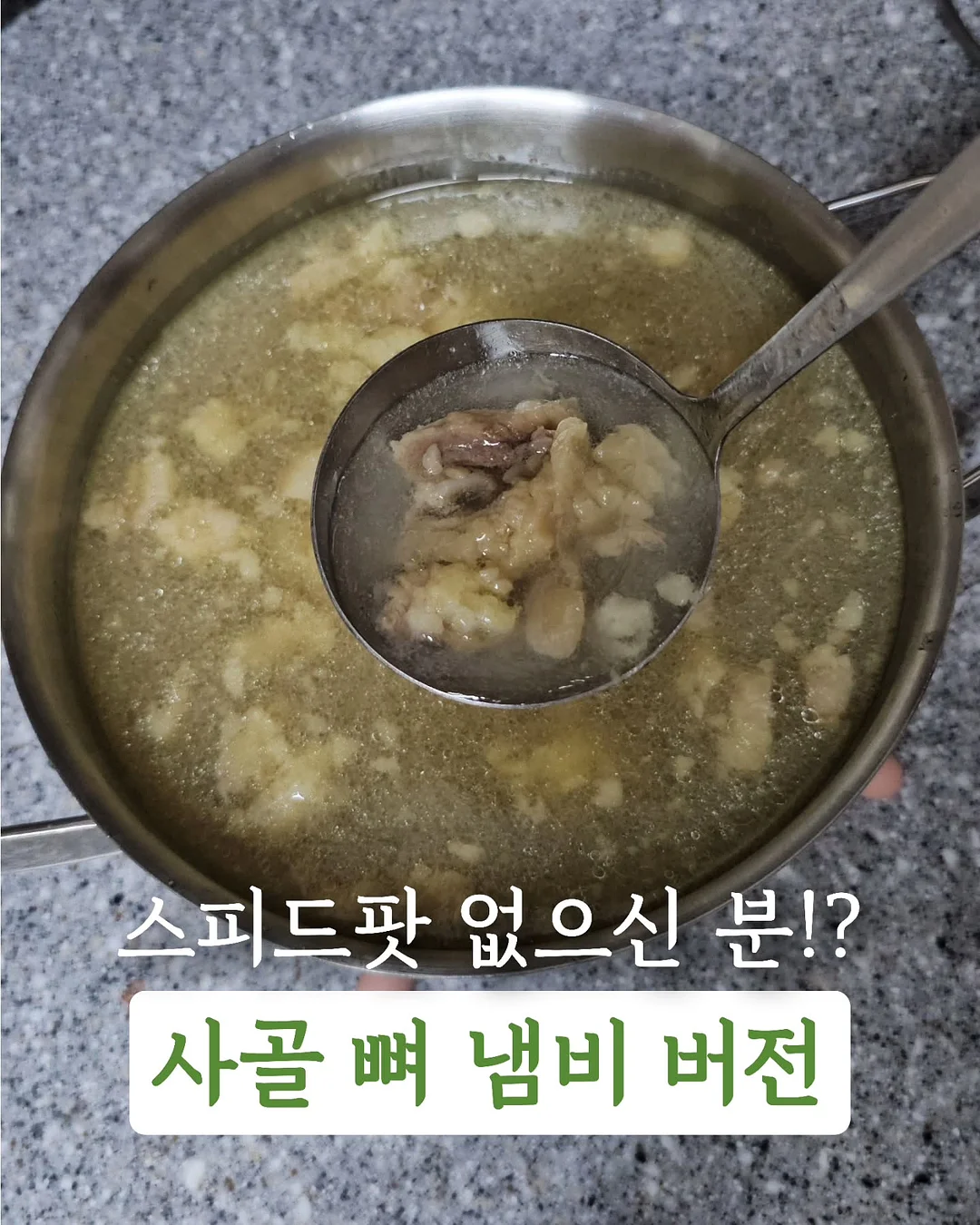 커피박 공룡알 체험키트 1